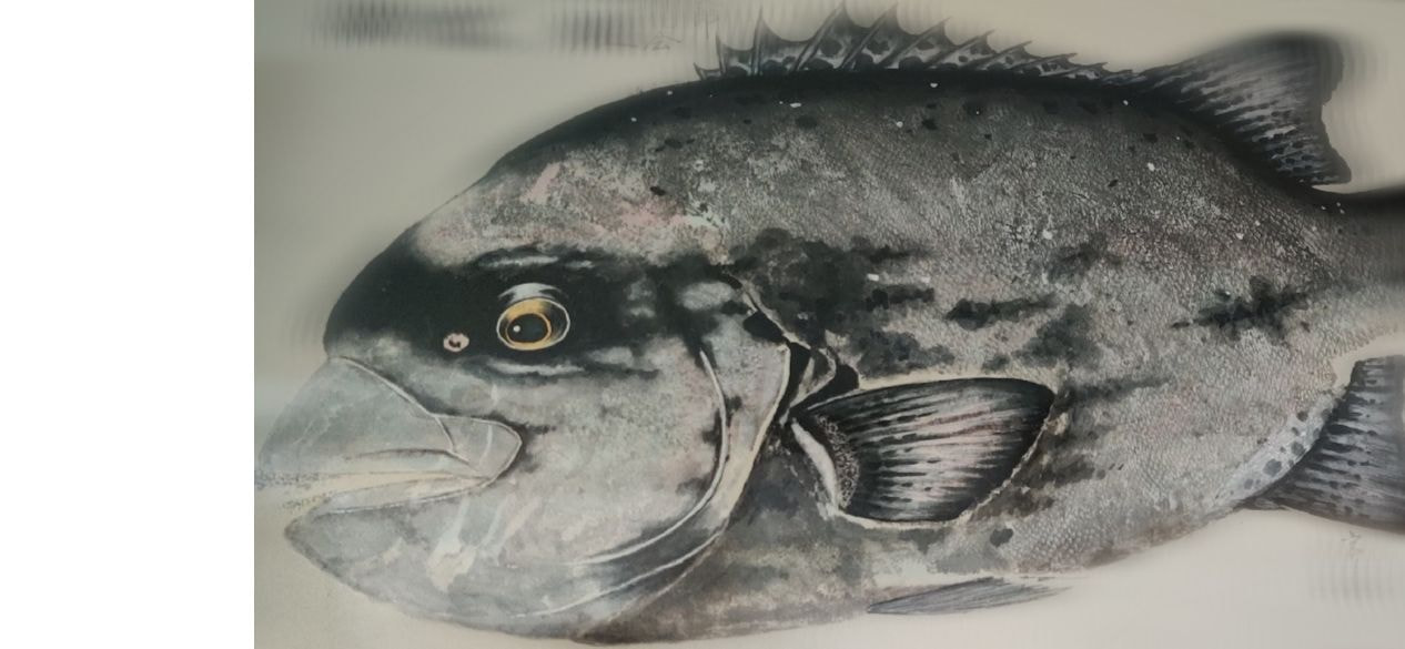 gyotaku_20200829025650803.jpg
